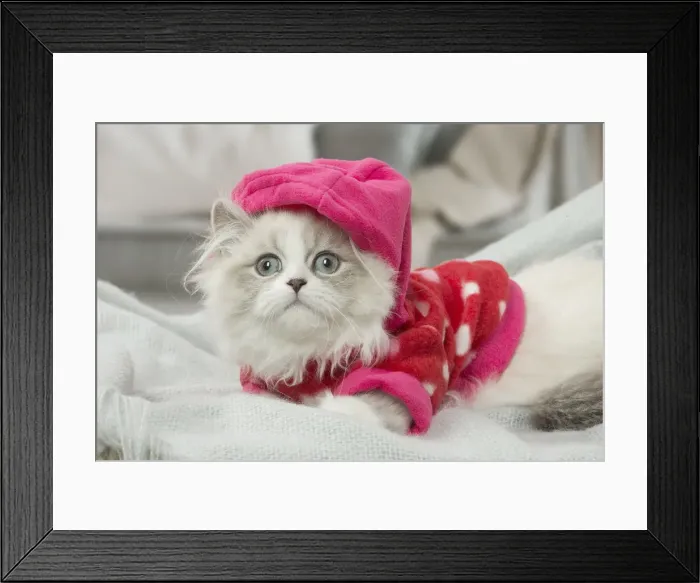 Framed Print : Picture No. 12478718 Framed Print : Picture No. 12478718