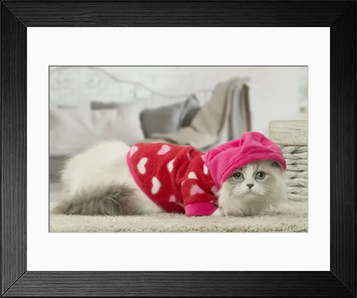 Framed Print : Picture No. 12478720