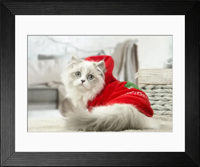 Framed Print : Picture No. 12478721 Framed Print : Picture No. 12478721