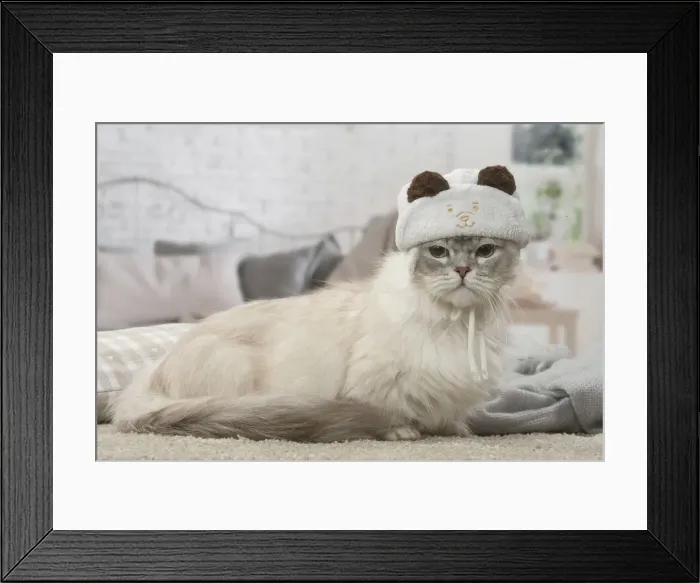 Framed Print : Picture No. 12478725 Framed Print : Picture No. 12478725