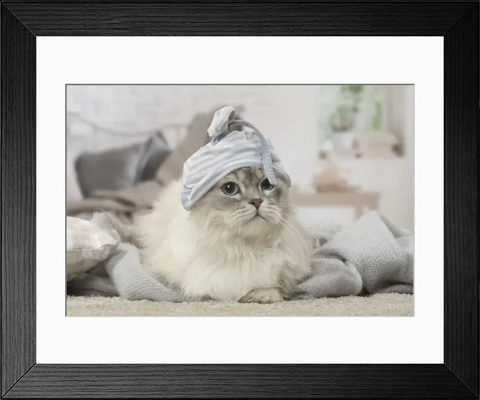 Framed Print : Picture No. 12478726 Framed Print : Picture No. 12478726