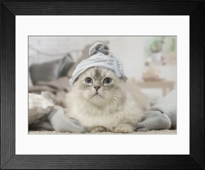 Framed Print : Picture No. 12478727 Framed Print : Picture No. 12478727