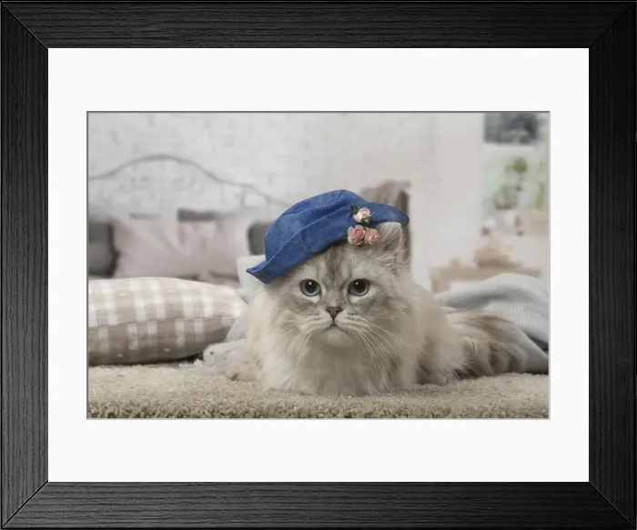 Framed Print : Picture No. 12478728 Framed Print : Picture No. 12478728