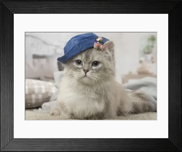 Framed Print : Picture No. 12478729 Framed Print : Picture No. 12478729