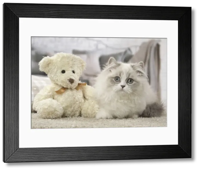 Framed Print : Picture No. 12478733 Framed Print : Picture No. 12478733