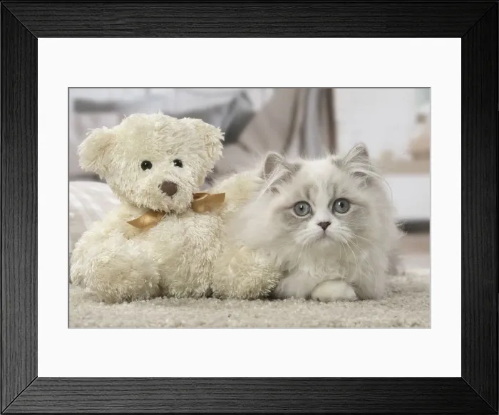 Framed Print : Picture No. 12478734 Framed Print : Picture No. 12478734