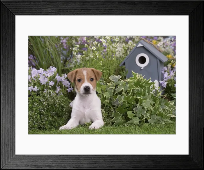 Framed Print : Picture No. 12478840 Framed Print : Picture No. 12478840