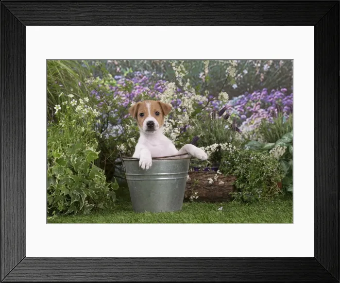 Framed Print : Picture No. 12478848 Framed Print : Picture No. 12478848