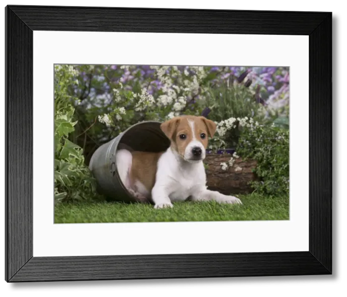 Framed Print : Picture No. 12478849 Framed Print : Picture No. 12478849