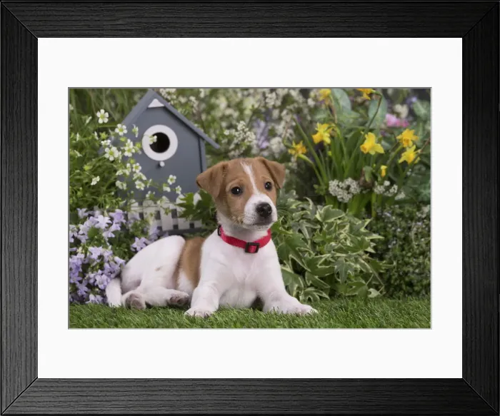 Framed Print : Picture No. 12478852 Framed Print : Picture No. 12478852