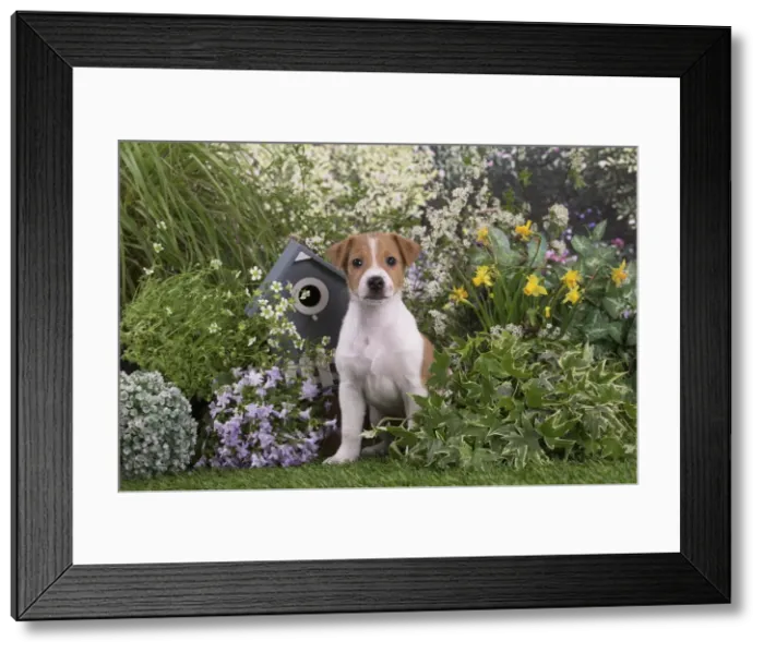 Framed Print : Picture No. 12478853 Framed Print : Picture No. 12478853