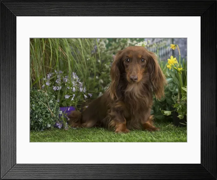 Framed Print : Picture No. 12478864 Framed Print : Picture No. 12478864