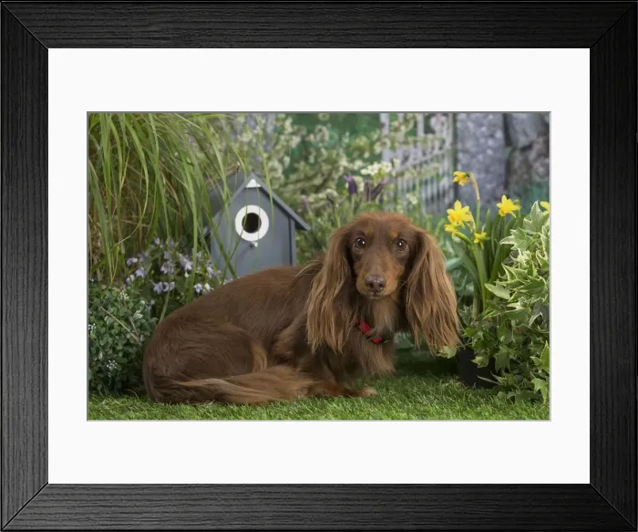 Framed Print : Picture No. 12478867 Framed Print : Picture No. 12478867