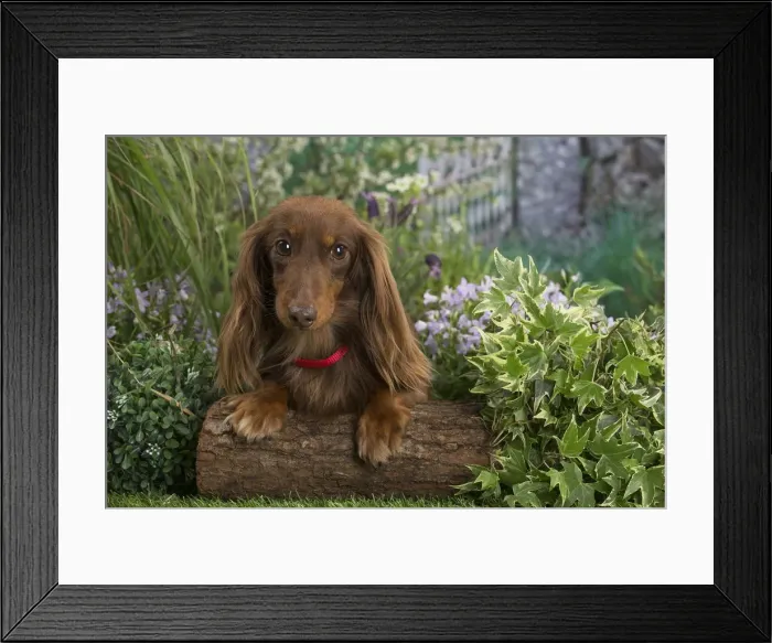 Framed Print : Picture No. 12478868 Framed Print : Picture No. 12478868