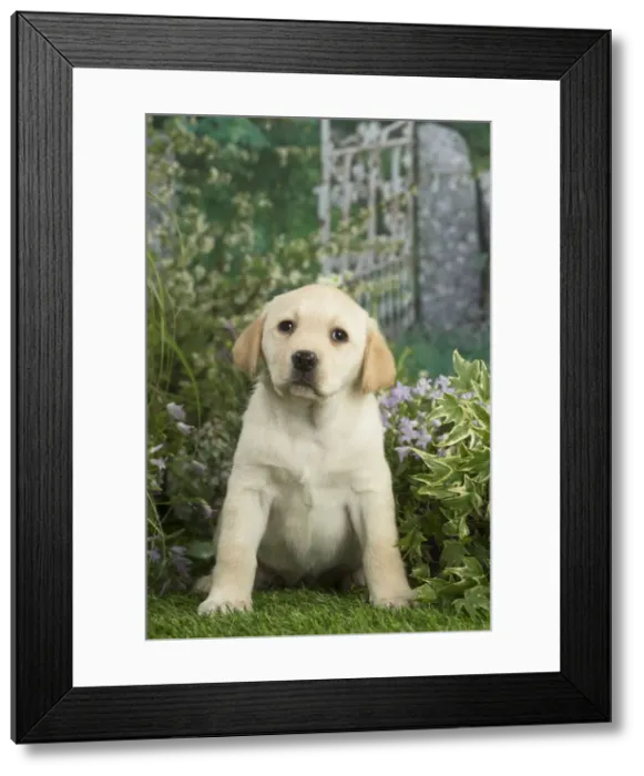 Framed Print : Picture No. 12478870 Framed Print : Picture No. 12478870