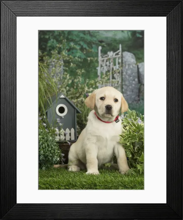 Framed Print : Picture No. 12478873 Framed Print : Picture No. 12478873