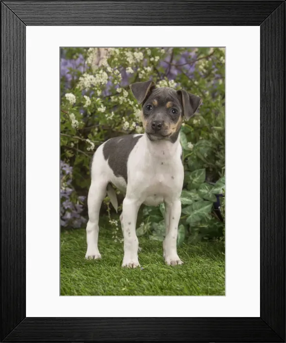 Framed Print : Picture No. 12478897 Framed Print : Picture No. 12478897