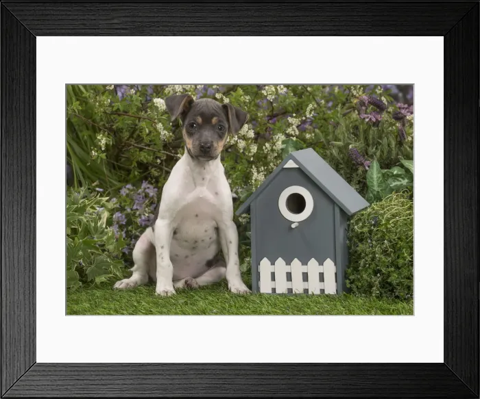 Framed Print : Picture No. 12478899 Framed Print : Picture No. 12478899