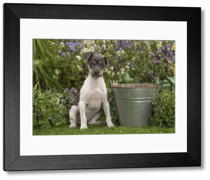 Framed Print : Picture No. 12478900 Framed Print : Picture No. 12478900