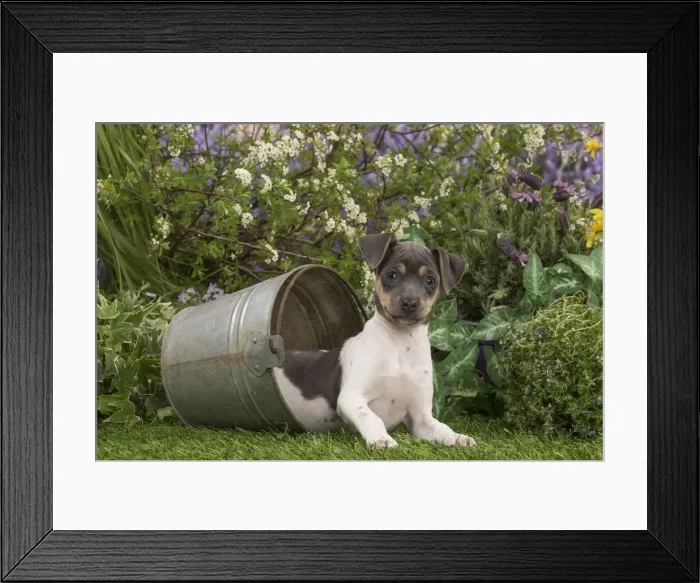 Framed Print : Picture No. 12478901 Framed Print : Picture No. 12478901