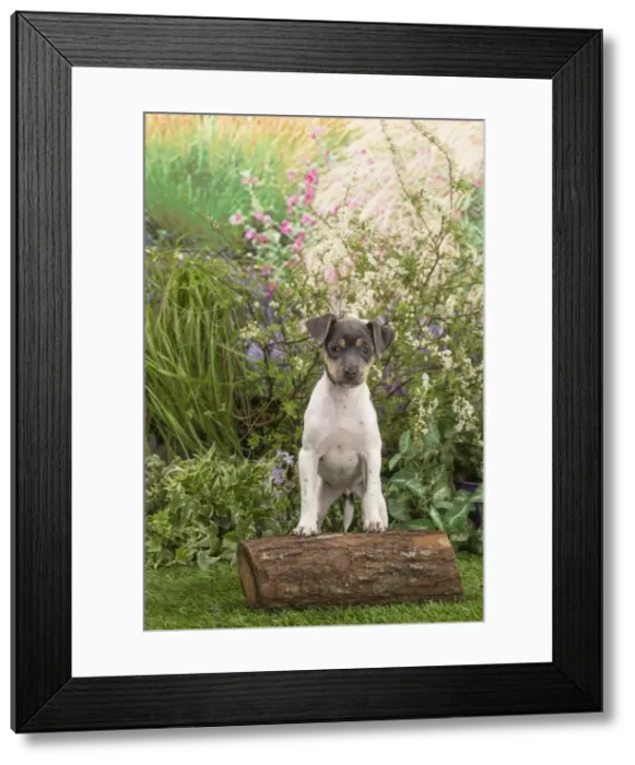 Framed Print : Picture No. 12478904 Framed Print : Picture No. 12478904