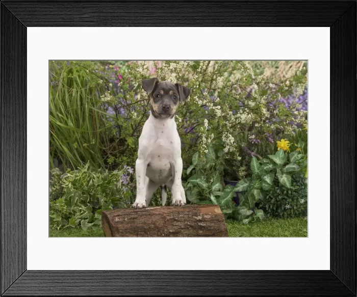 Framed Print : Picture No. 12478905 Framed Print : Picture No. 12478905