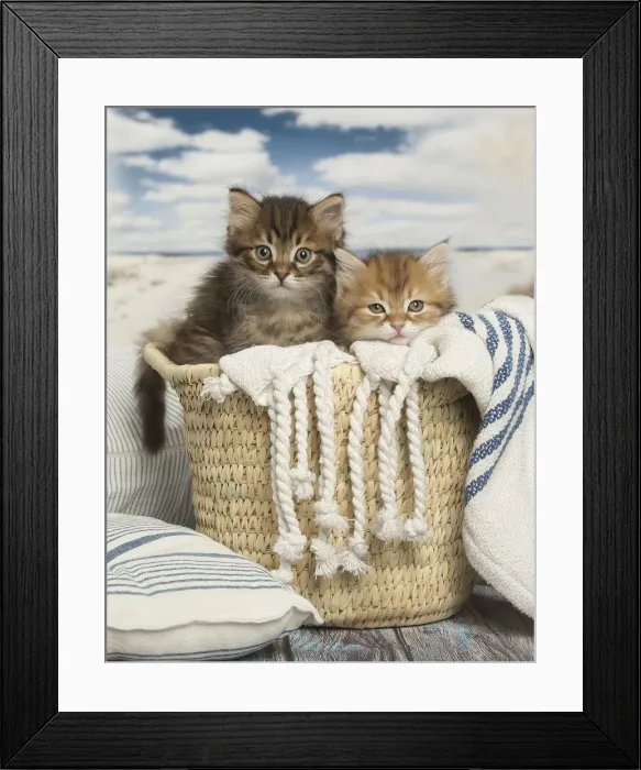 Framed Print : Picture No. 12479028 Framed Print : Picture No. 12479028