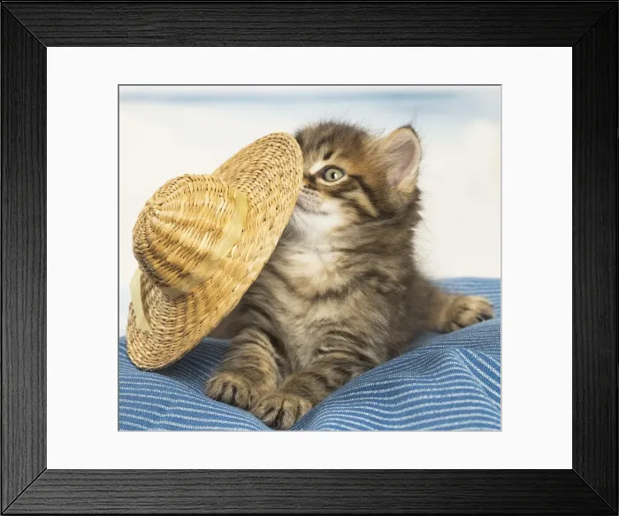 Framed Print : Picture No. 12479040 Framed Print : Picture No. 12479040