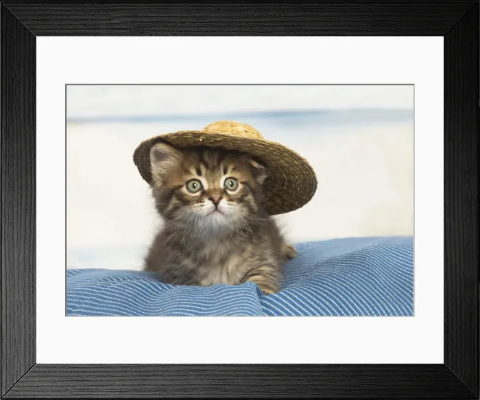Framed Print : Picture No. 12479042 Framed Print : Picture No. 12479042