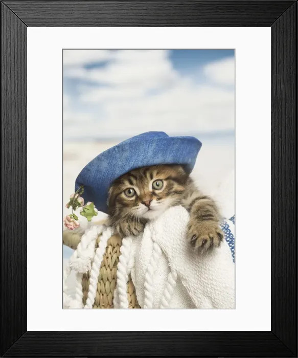 Framed Print : Picture No. 12479047 Framed Print : Picture No. 12479047