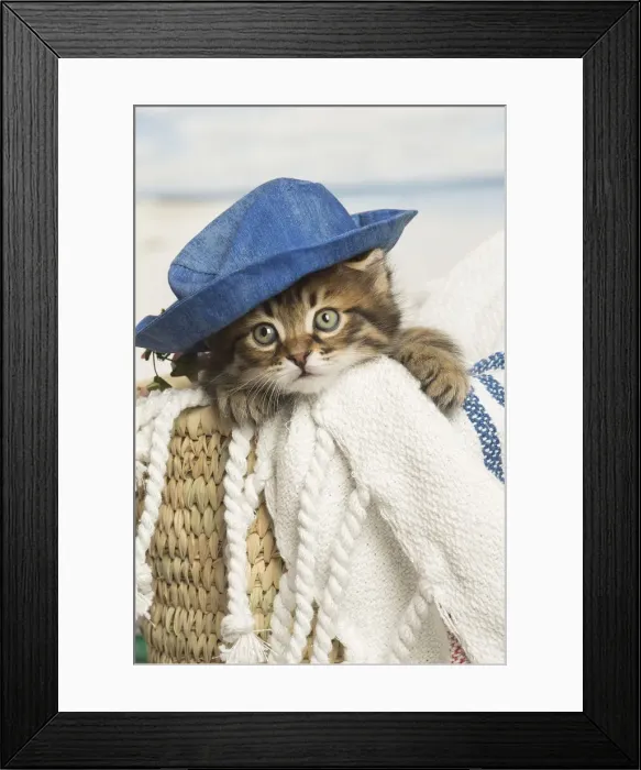 Framed Print : Picture No. 12479048 Framed Print : Picture No. 12479048