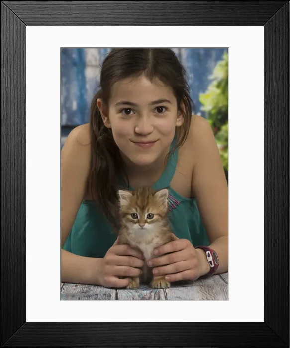 Framed Print : Picture No. 12479068 Framed Print : Picture No. 12479068