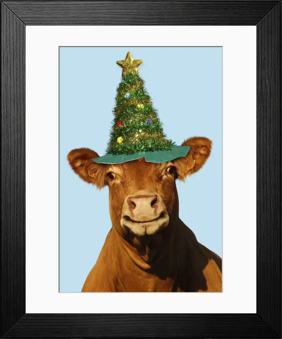 Framed Print : Picture No. 12479249 Framed Print : Picture No. 12479249