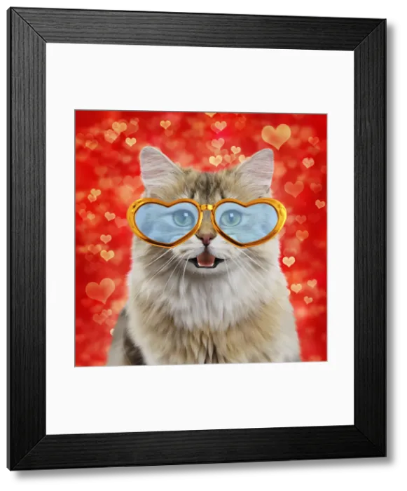 Framed Print : Picture No. 12479251