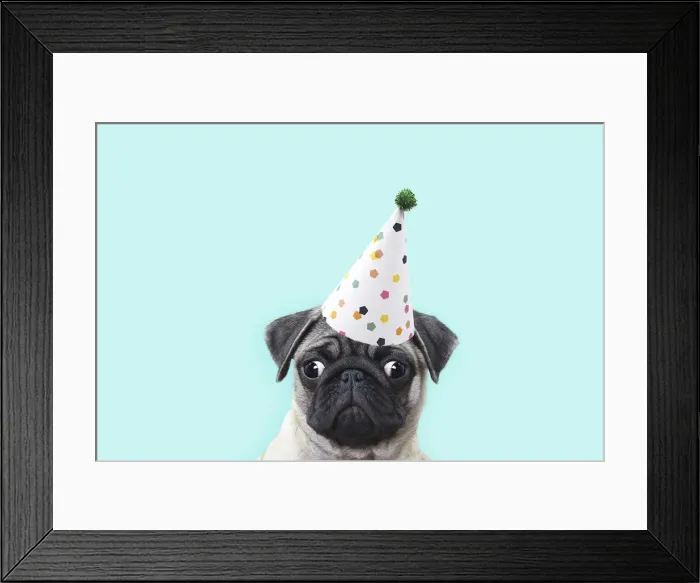 Framed Print : Picture No. 12479253 Framed Print : Picture No. 12479253