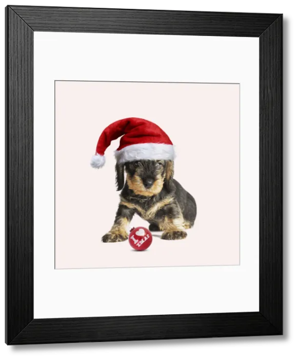 Framed Print : Picture No. 12479254