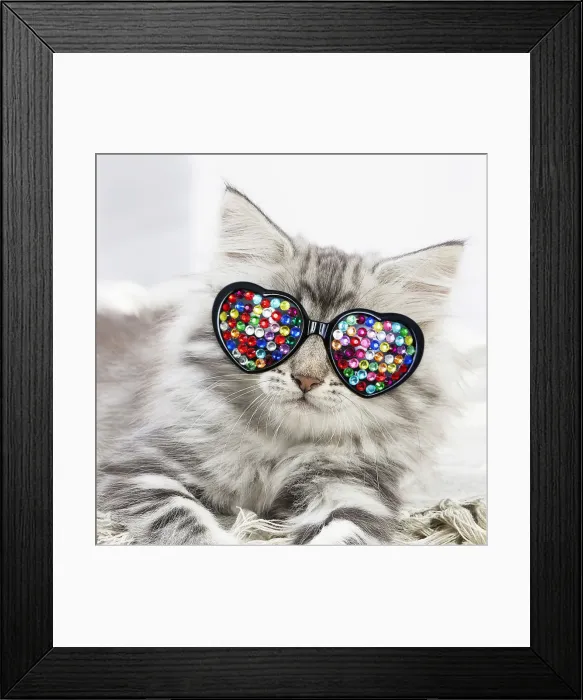 Framed Print : Picture No. 12479258 Framed Print : Picture No. 12479258