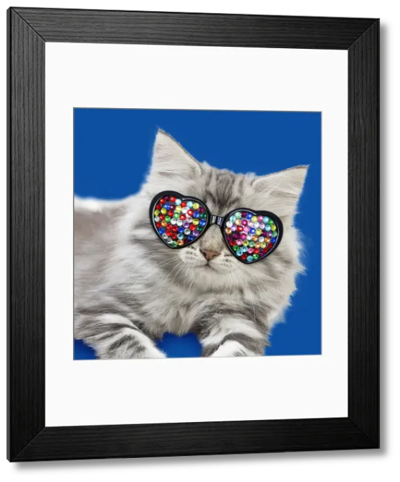 Framed Print : Picture No. 12479259 Framed Print : Picture No. 12479259