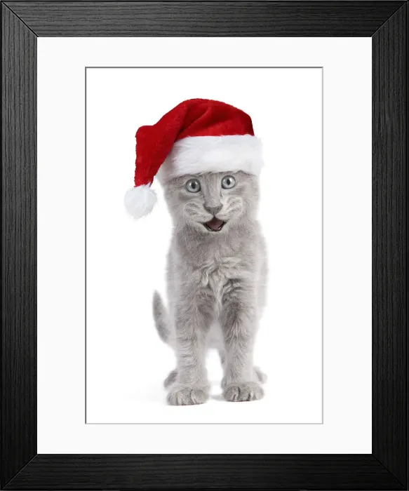 Framed Print : Picture No. 12479260 Framed Print : Picture No. 12479260