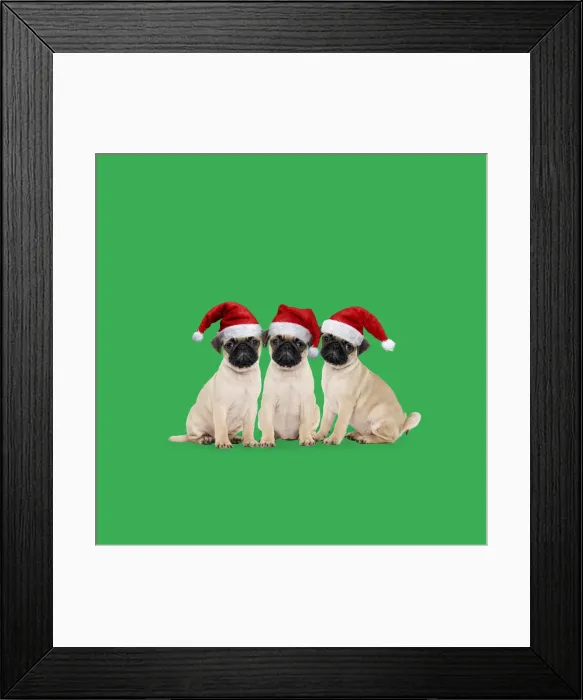 Framed Print : Picture No. 12479261 Framed Print : Picture No. 12479261