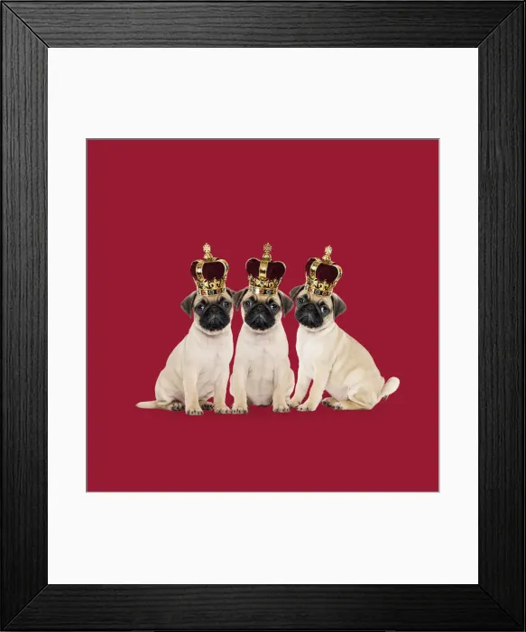 Framed Print : Picture No. 12479262 Framed Print : Picture No. 12479262