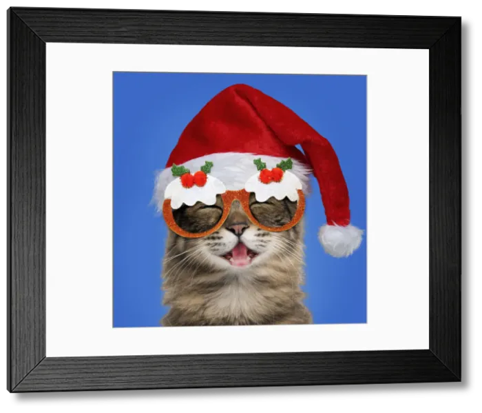 Framed Print : Picture No. 12479252 Framed Print : Picture No. 12479252