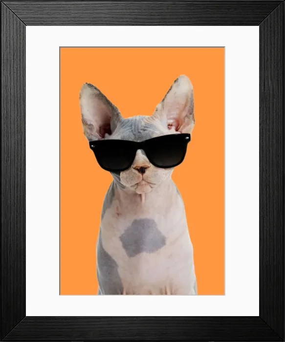 Framed Print : Picture No. 12479634 Framed Print : Picture No. 12479634