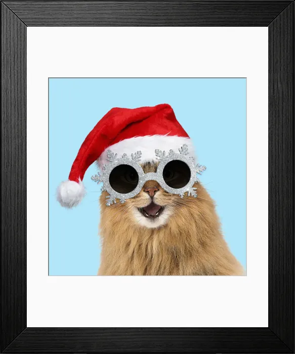 Framed Print : Picture No. 12479633 Framed Print : Picture No. 12479633