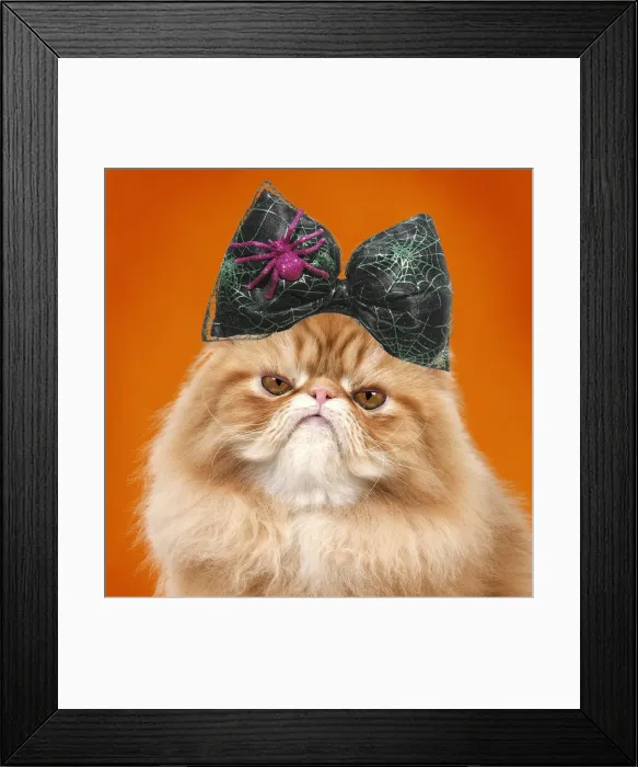 Framed Print : Picture No. 12479640 Framed Print : Picture No. 12479640