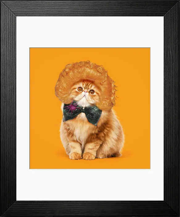 Framed Print : Picture No. 12479641 Framed Print : Picture No. 12479641