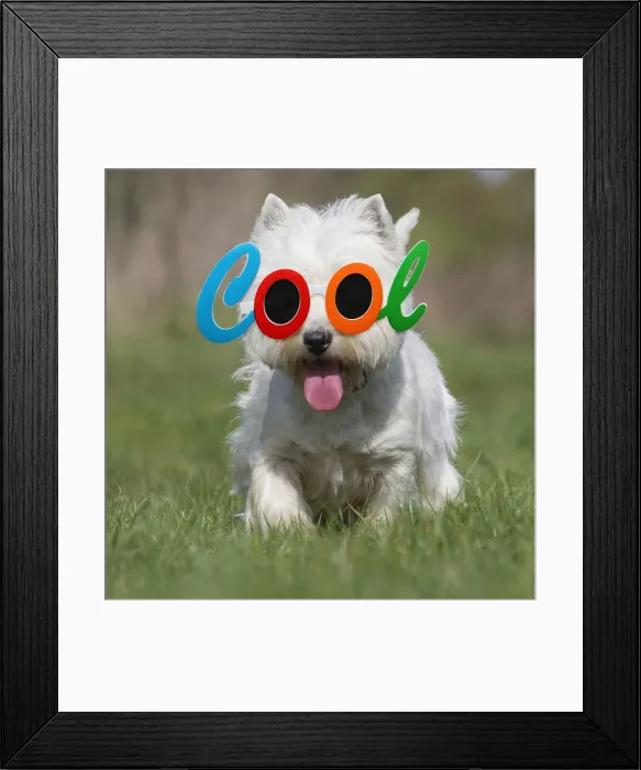 Framed Print : Picture No. 12479643 Framed Print : Picture No. 12479643