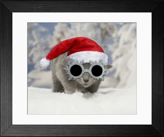 Framed Print : Picture No. 12479645 Framed Print : Picture No. 12479645