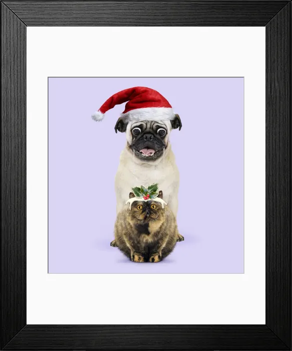 Framed Print : Picture No. 12479648 Framed Print : Picture No. 12479648