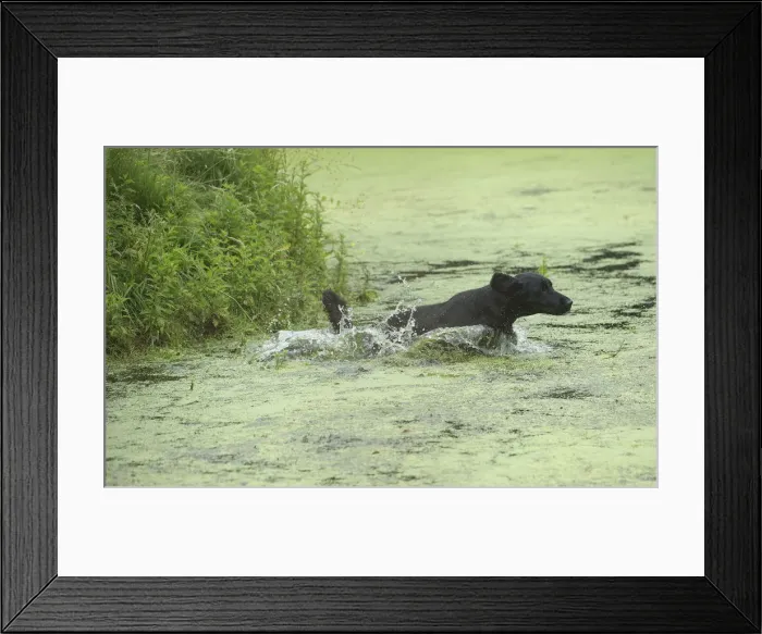 Framed Print : Picture No. 12479778 Framed Print : Picture No. 12479778